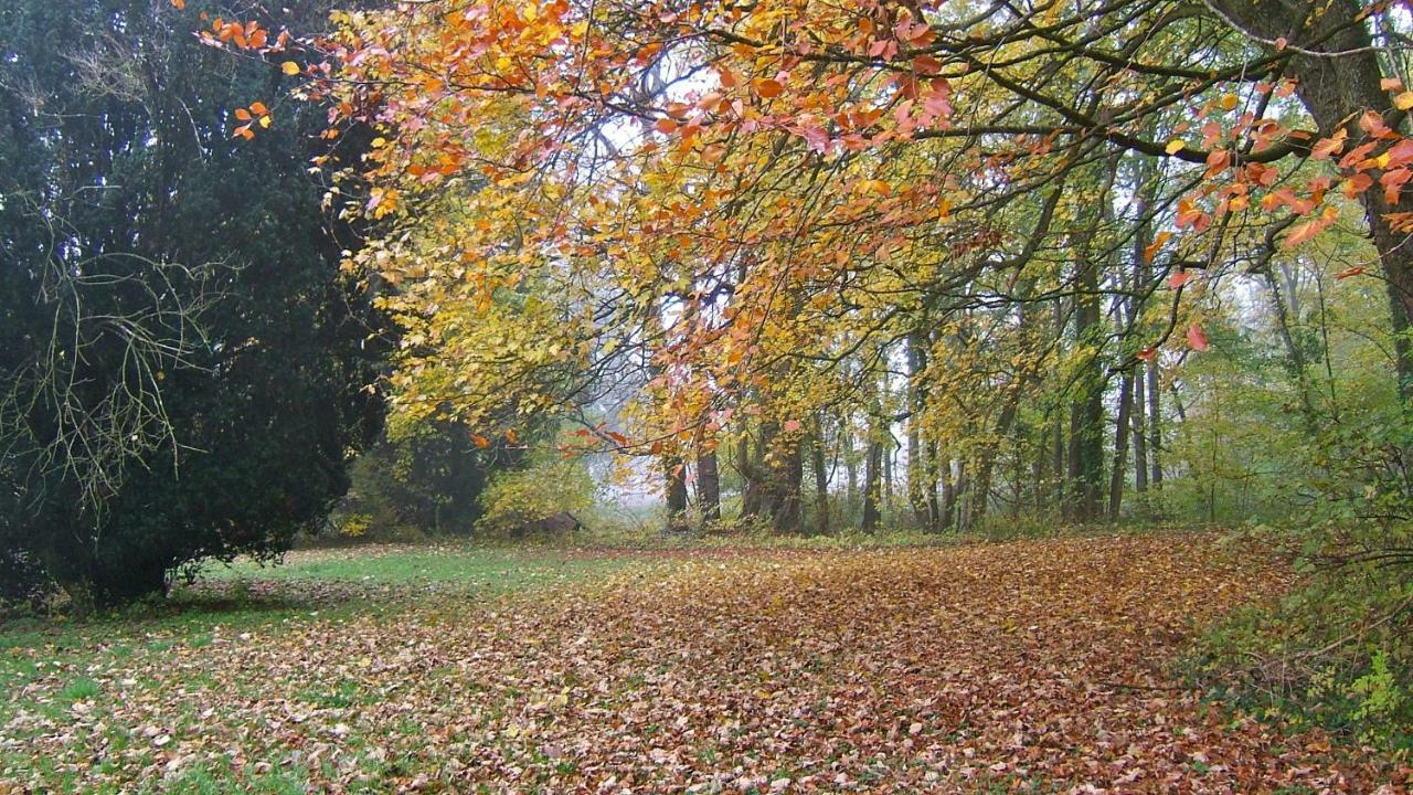 Chateau De Courmelois Champagne Guest House Val de Vesle Esterno foto