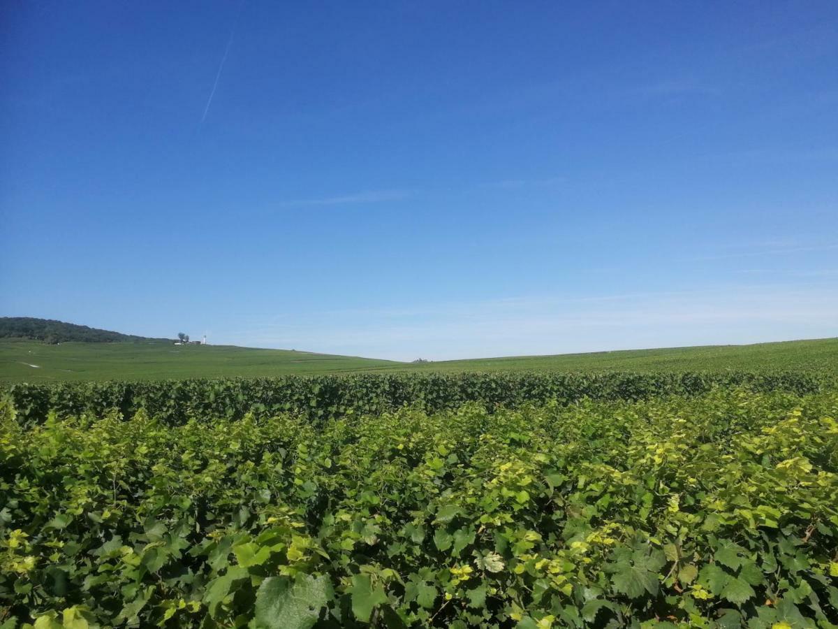 Chateau De Courmelois Champagne Guest House Val de Vesle Esterno foto